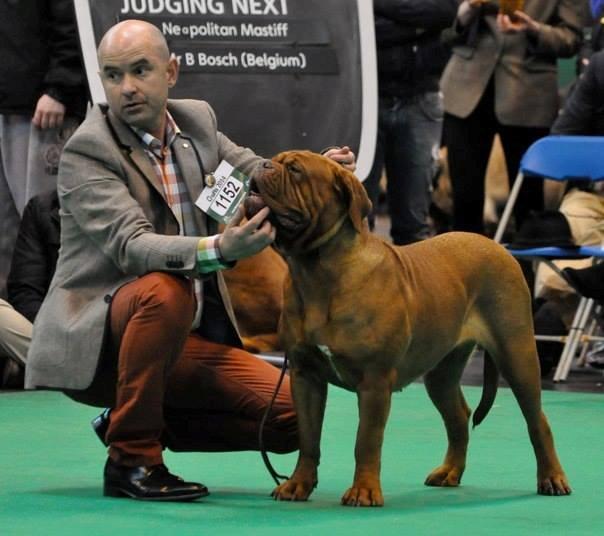 Guusje & Matthew Crufts 2014 2.jpg